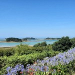 bord de l'eau fleurie